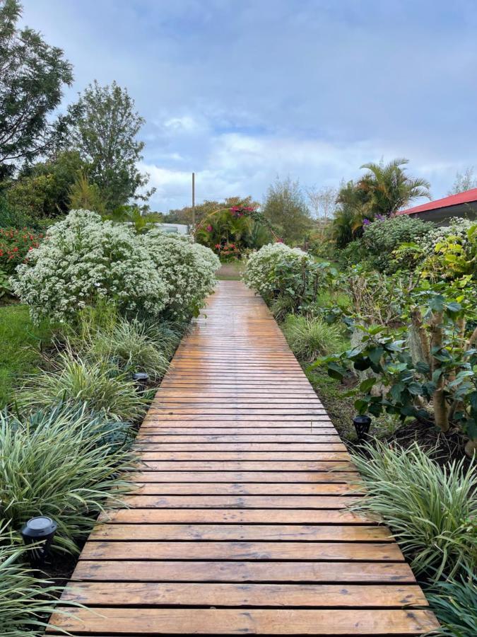 Teanehi Bed & Breakfast Hanga Roa Luaran gambar